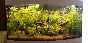 20133_5f16d66666358.jpg 1600X778 px