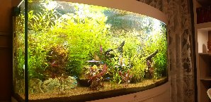 20133_5f18a6d4e04ff.jpg 1600X778 px