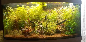 20133_5f1c7536141dc.jpg 1600X778 px