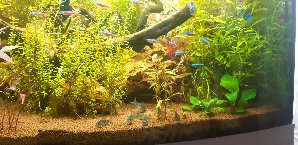 20133_5f1c7666a887e.jpg 1600X778 px