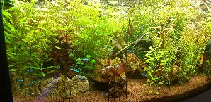 20133_5f29d9d8ae02b.jpg 1600X778 px
