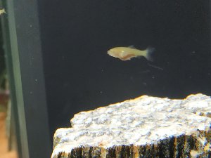 20143_5ee10568d5a8b.jpg 1600X1200 px