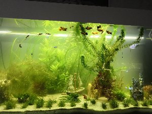 20160_5f0abca27ad74.jpg 1600X1200 px