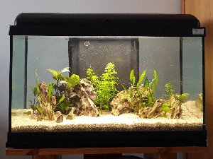 20161_5f17621aaaa2d.jpg 1599X1200 px