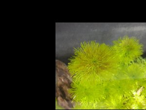 20161_5f259dc471b9e.jpg 1600X1200 px