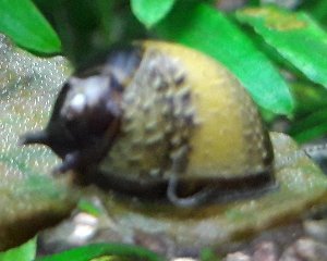 20161_6510b5045c086.jpg 1499X1200 px