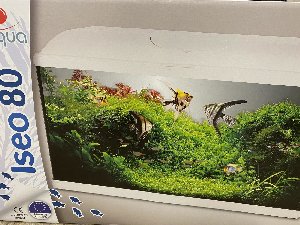 20200_5ee359a9bd9f9.jpg 1600X1200 px