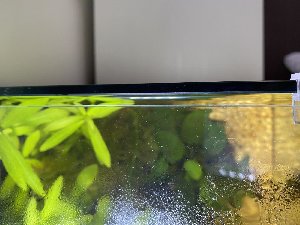 20200_5f083fba839bd.jpg 1600X1200 px