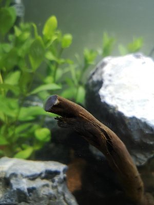 20212_5ee7db055e453.jpg 900X1200 px
