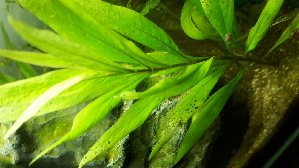 20213_5f4b4dbc706e0.jpg 1600X900 px