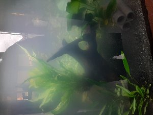 20252_5efc5c237981d.jpg 1600X1200 px