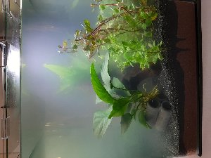 20252_5efc5cb5878d8.jpg 1600X1200 px