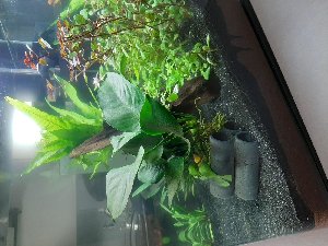 20252_5f01cdc772b2a.jpg 1600X1200 px