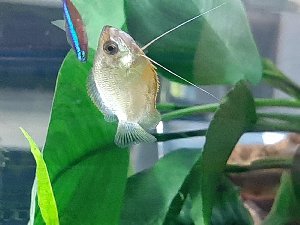 20252_5f23cd0cb348c.jpg 1600X1200 px