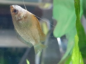 20252_5f23cd1ee5abb.jpg 1600X1200 px