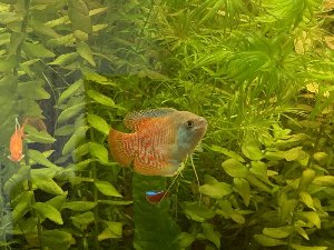20261_5f8092df16d9b.jpg 1600X1200 px