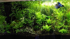 20370_5f78a97fde8cf.jpg 1600X900 px