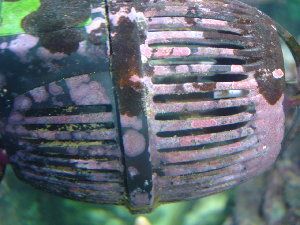 2037_4a619d58c2cd7.jpg 300X225 px
