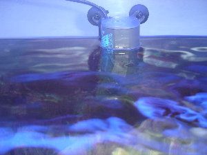 2037_4a61a1dbc9ab2.jpg 300X225 px