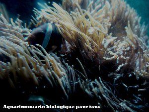 2037_4b5bf3c808cdd.jpg 300X225 px