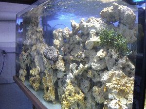 2037_4b779f1d5d0bd.jpg 300X225 px