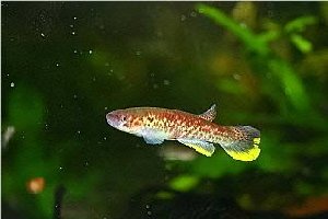 20413_5f951f392affe.jpg 319X213 px