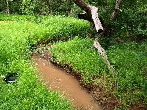 20413_5f96816a3c0f1.jpg 1094X821 px