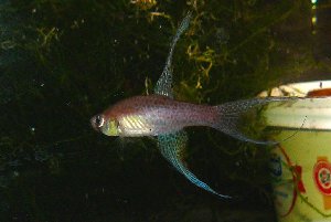 20413_61bee699e3213.jpg 1024X687 px
