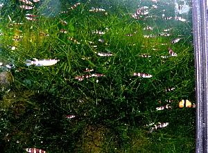 20413_61d15dcb1eed1.jpg 320X236 px