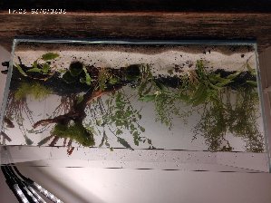 20438_5fec6ef13b0a8.jpg 1600X1197 px