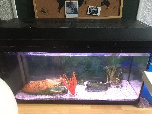 20514_5fae7e9a63ca1.jpg 1600X1200 px