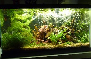 20584_5ff4cb8cd197d.jpg 1200X772 px