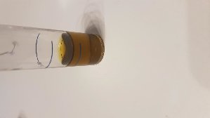 20618_603c1ea3c6691.jpg 1600X900 px