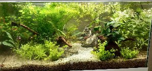20657_601919f90dae4.jpg 1600X757 px
