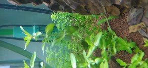 20746_6118e0ac199fa.jpg 1600X738 px