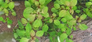 20746_6118e180bc23b.jpg 1600X738 px