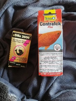 20755_6086f8bfc9029.jpg 900X1200 px