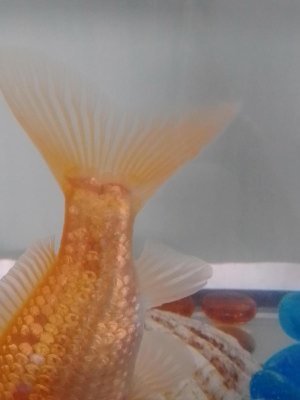 20772_60a23eba2d2c2.jpg 900X1200 px