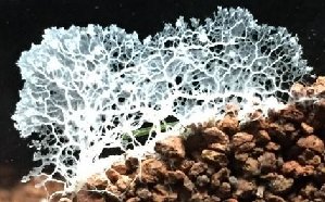 20985_624a37758d64e.jpg 470X292 px