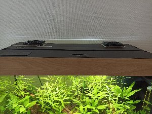21149_62866843ef5e9.jpg 1598X1200 px