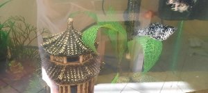 21177_622718eb3875d.jpg 1600X720 px