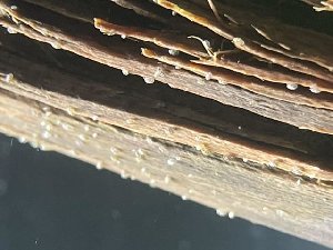 21317_630c868852c00.jpg 640X480 px