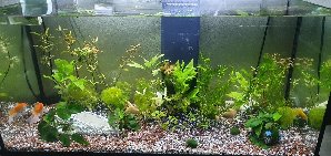 21381_637170426e564.jpg 1600X757 px