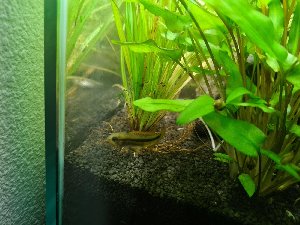 21452_6353ead19e9de.jpg 1600X1200 px