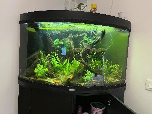 21772_65da54cba083f.jpg 1600X1200 px