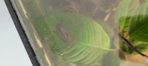 21855_650adf29e466b.jpg 1600X721 px