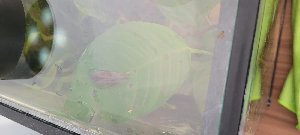 21855_650adf4c8b8e7.jpg 1600X721 px