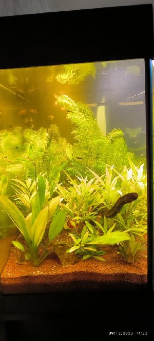 22011_6574708861ad9.jpg 540X1200 px
