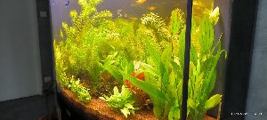 22011_6574709832c63.jpg 1600X720 px