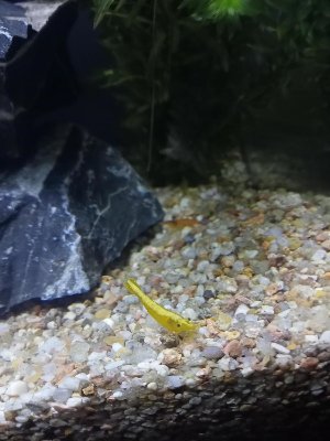 22037_65880fa24e7af.jpg 900X1200 px